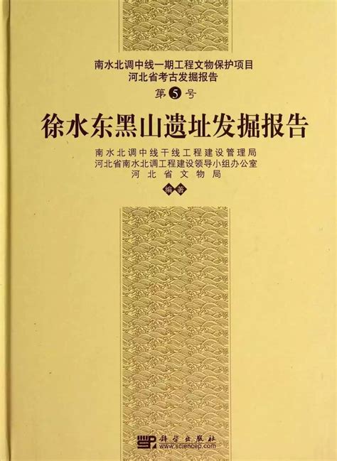 大庞村（河北省保定市徐水县遂城镇下辖村）_百度百科