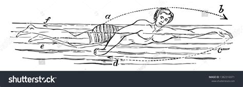 Swimming 的图像结果