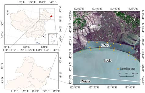 Cyanobacterial Blooms Increase Functional Diversity of Metazooplankton ...