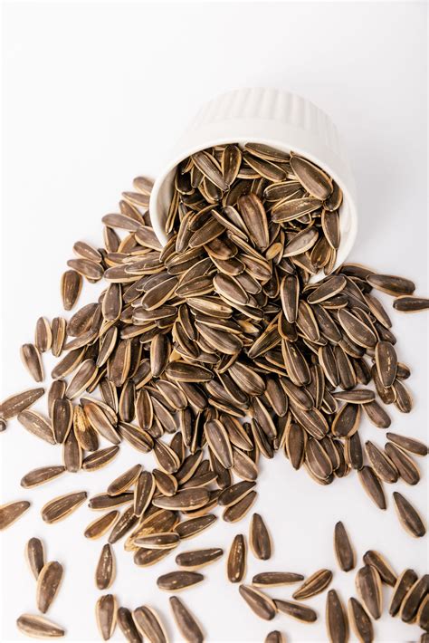 Unsalted Sunflower Seeds – Amir Roastery