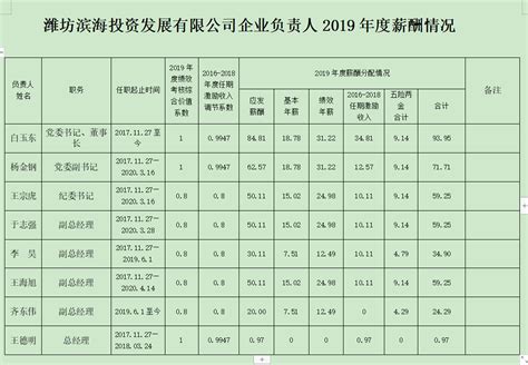 企业负责人薪酬-潍坊滨海投资发展有限公司