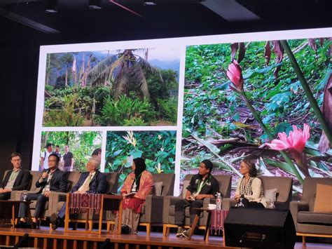 2023: Kuching, East Malaysia, Borneo Island - APFSN