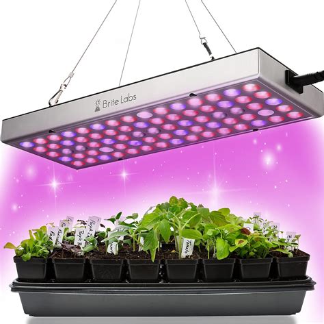 How To Use A Grow Lamp For Indoor Plants at Chloe Dunbar blog