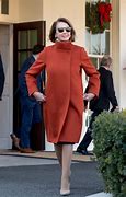 Image result for Nancy Pelosi Wearing Dress