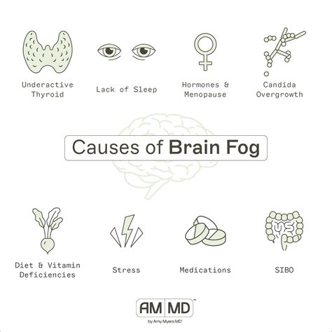 Causes of Brain Fog & How to Get Rid of It – AMMD