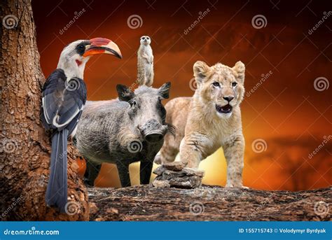 African Animals on Savanna Landscape Background and Mount Kilimanjaro ...