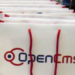OpenCms File 的图像结果