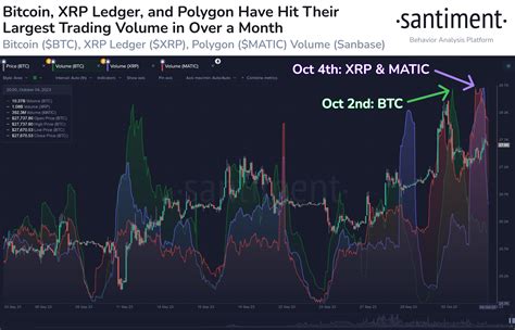 XRP, Polygon See Month-High Volumes As Investors Show FOMO