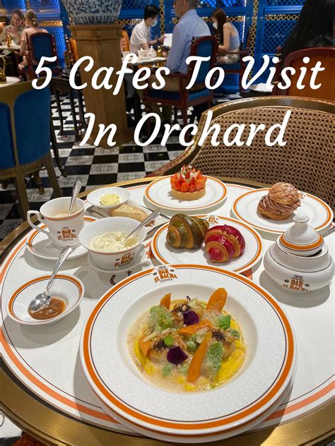 Where To Go In Orchard