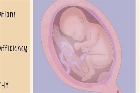 VEAL CHOP MINE: Explained Nursing School Notes - Etsy