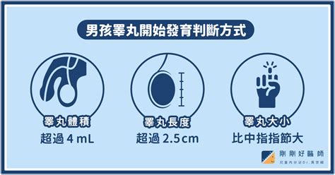 Image result for TiO2 Production Process
