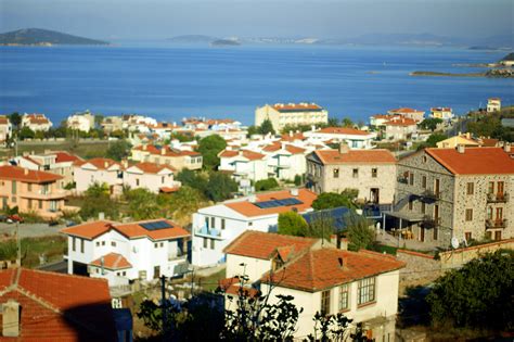 Image result for Best Examples of Local Colors