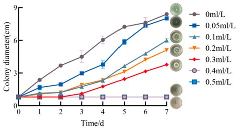 The Antimicrobial Mechanism of Geraniol Against Penicillium polonicum ...