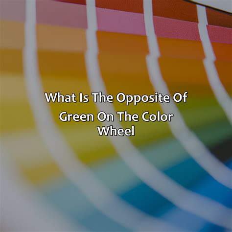 What Color Goes Good With Army Green - colorscombo.com