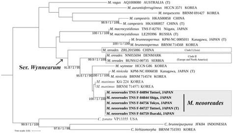 Taxonomy | An Open Access Journal from MDPI