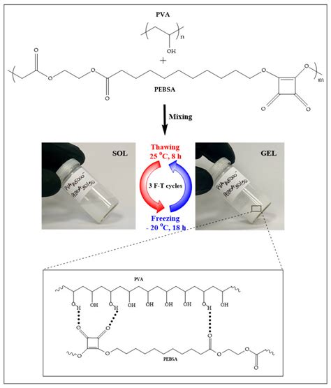 New Cryogels Based on Poly(vinyl alcohol) and a Copolymacrolactone ...