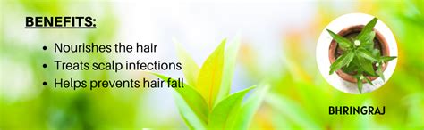 Buy Khadi Natural Herbal Amla Bhringraj Shampoo For Men And Women 200ml ...