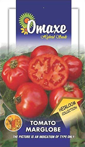 Tomato Heirloom Marglobe Vegetable seeds Kitchen Garden Packet by ...