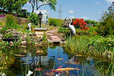 teich bauen ohne folie gartenteich ohne folie oder wanne anlegen das gartenmagazin teich bauen ohne folie gartenteich ohne folie oder wanne anlegen das gartenmagazin