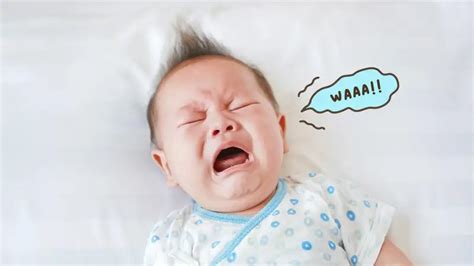 Penjelasan Mendalam mengenai Tanda-Tanda Bayi Mengalami Cirit Birit