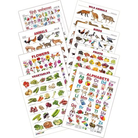 Buy Spectrum Educational Mini Wall Chart (Set of 8) : Set 3 ( English ...