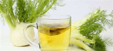 Укропная вода для новорожденных от коликов, для взрослых. Фенхель ...