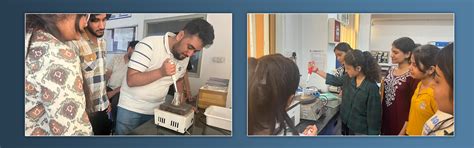 Summer Course on Food Safety, Water Quality, and Nanotechnology