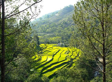 3 Days 2 Nights Amazing Almora Tour Package - Myholidays.com