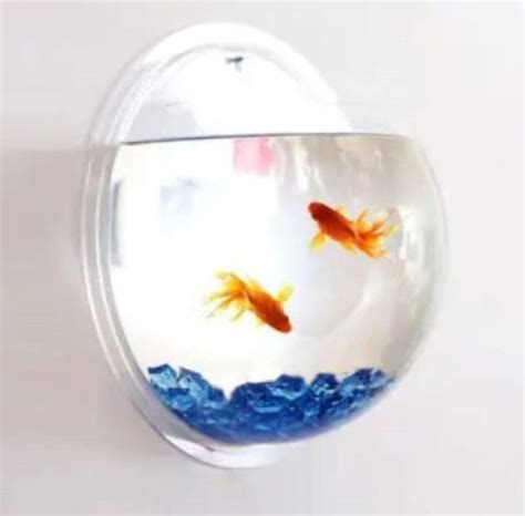 Fish Tank - Buy Fish Tank online at Best Prices in India | Flipkart.com