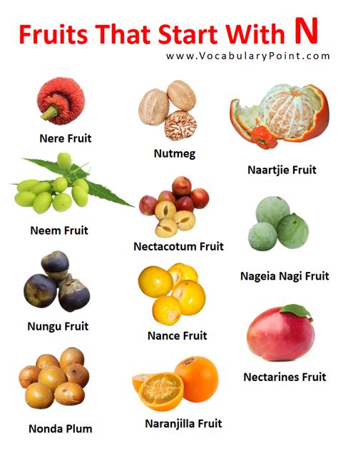 Fruits And Vegetables Letter N at Wanda Devine blog