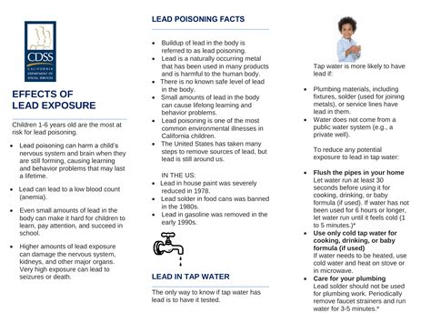 PUB 515 - Risks and Effects ofВ Lead Poisoning | FormsDocs.com