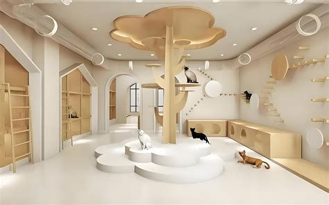 Pet Shop 的图像结果