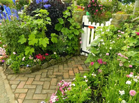 20 Charming Cottage Garden Ideas and Designs - InteriorSherpa
