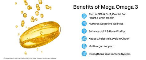 Blubein Mega Omega 3 Fish Oil Capsules for Men & Women, Triple Strength ...