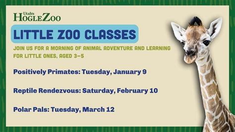 Little Zoo: Reptile Rendezvous , Utah's Hogle Zoo, Salt Lake City ...