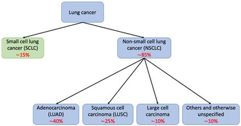 DNA Methylation in Lung Cancer: Mechanisms and Associations with ...