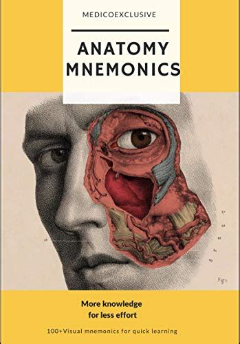 Anatomy mnemonics : More knowledge for less effort eBook : Exclusive ...