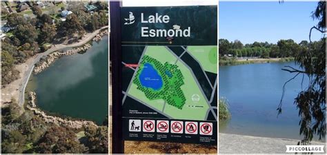 Wednesday 10am Lake Esmond Outdoor Walk (lower level of parkland), Lake ...
