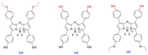Delving into the Inception of BODIPY Dyes: Paradigms of In Vivo ...