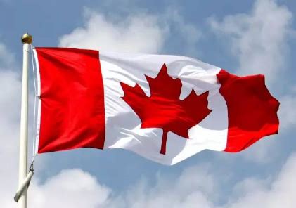 研究：6成留学生通过中介服务申请来加拿大上学 – 加拿大多伦多新飞扬留学