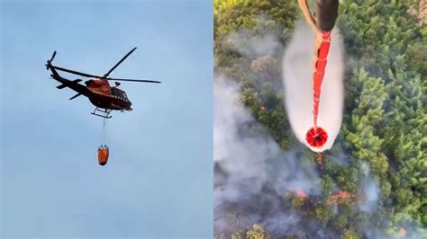 “探秘”直升机灭火：5秒钟精准洒下3吨水-中国森林草原防灭火网