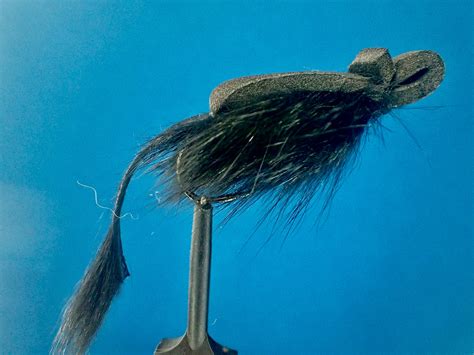 Image result for Master Splinter Fly