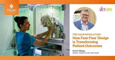 How Fear Free® Design is Transforming Patient Outcomes, Melbourne ...