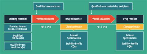 Cell Therapy Process 的图像结果
