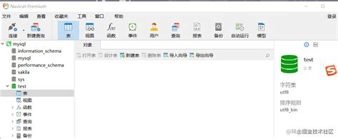Null Data SQLAlchemy 的图像结果