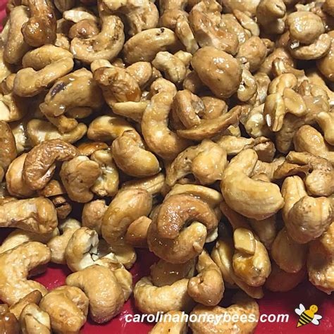 Roasted Cashews In Spanish at Bernadette Oakman blog