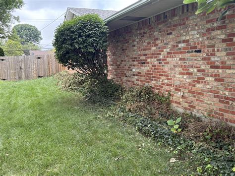 Josh / Hayden (@jacksonandpondlandscaping) • Instagram photos and videos