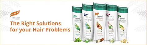 Buy Himalaya Damage Repair Protein Shampoo | Repairs & Protects Hair ...