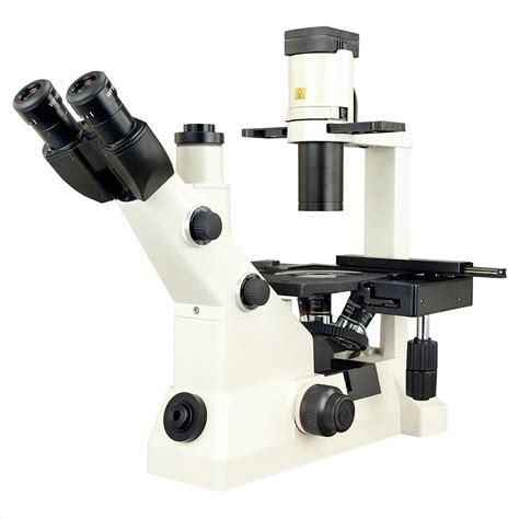 Image result for Inverted Light Microscope