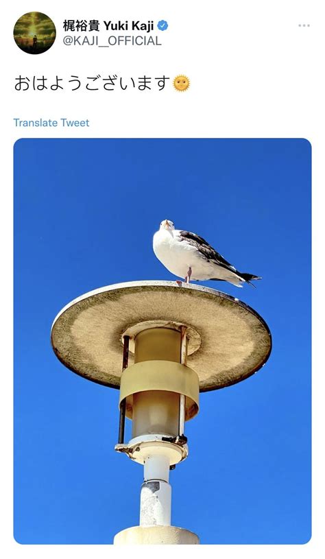 Is He Trolling? : r/ANRime